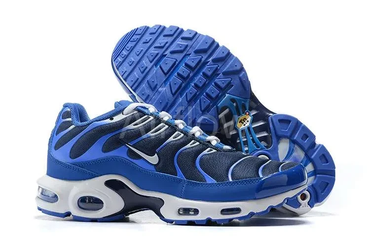 AIR MAX PLUS TN 'ARTIC CHILL' — vista 2