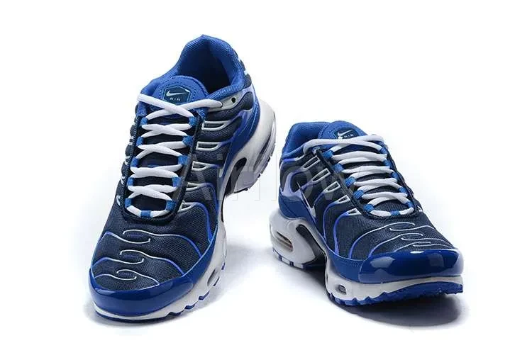 AIR MAX PLUS TN 'ARTIC CHILL' 4