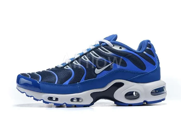 AIR MAX PLUS TN 'ARTIC CHILL'