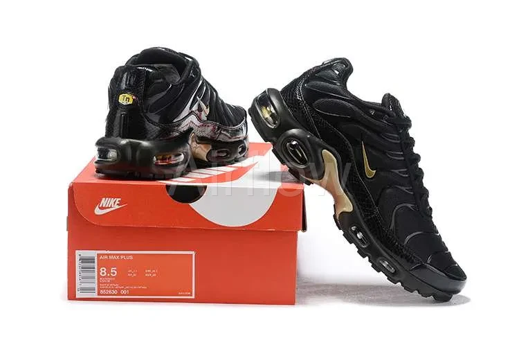 AIR MAX PLUS TN 'BLACK GOLD' — vista 2