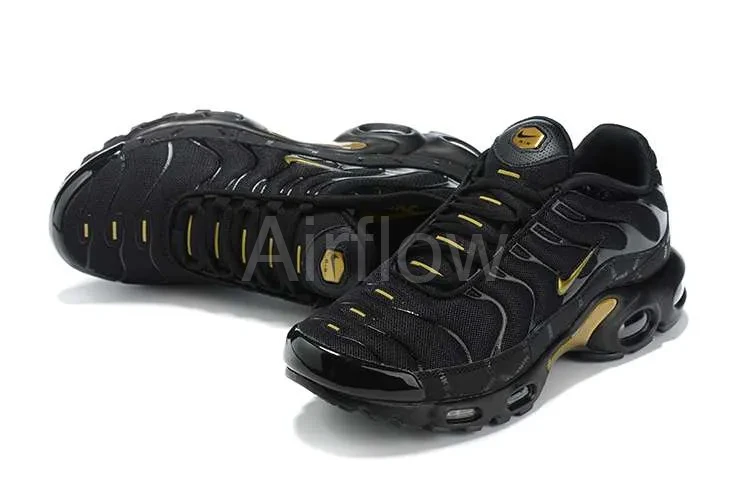 AIR MAX PLUS TN 'BLACK GOLD' — vista 2