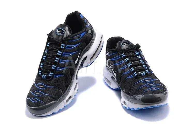 AIR MAX PLUS TN 'BLACK ROYAL GREY' — vista 2