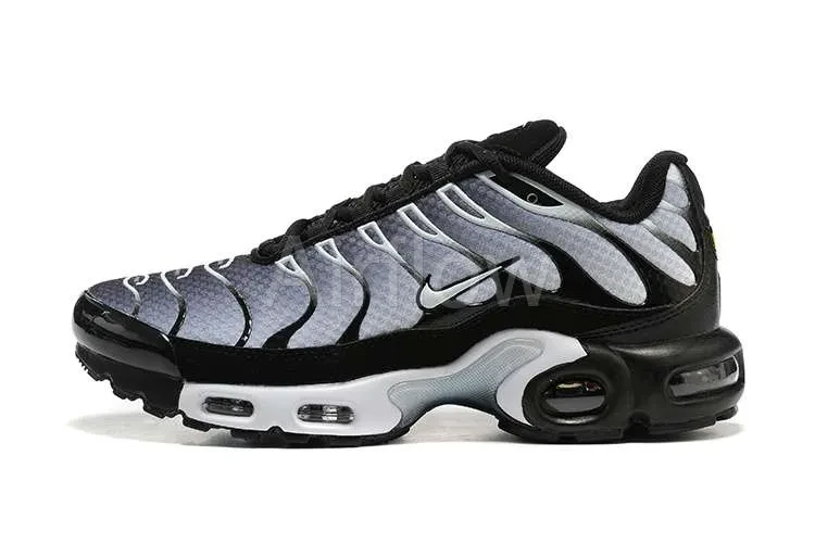AIR MAX PLUS TN 'BLACK SILVER WHITE'