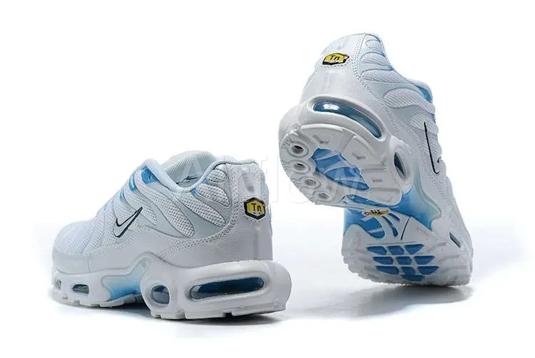 AIR MAX PLUS TN 'BLUE FURY' 4
