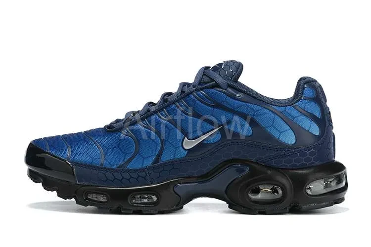 AIR MAX PLUS TN 'BLUE HEX'