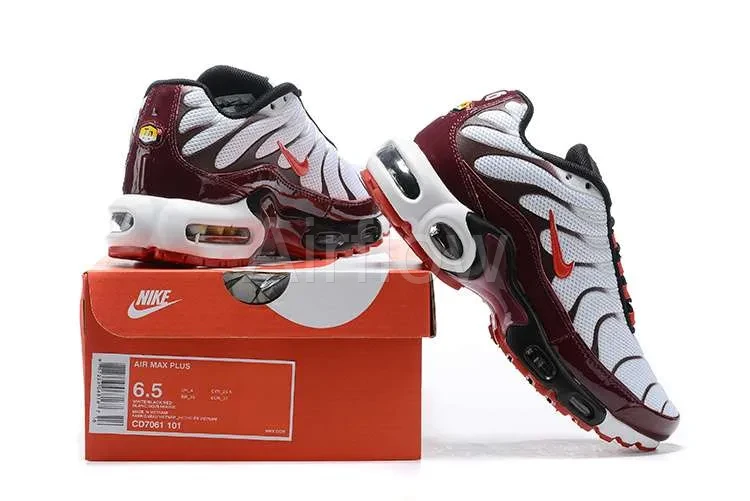 AIR MAX PLUS TN 'BORDEAUX EMBER' 4