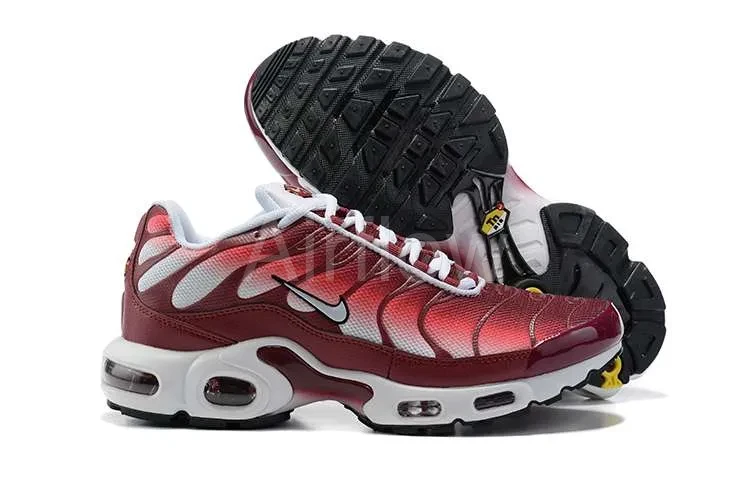 AIR MAX PLUS TN 'DARK BEETROOT' — vista 2