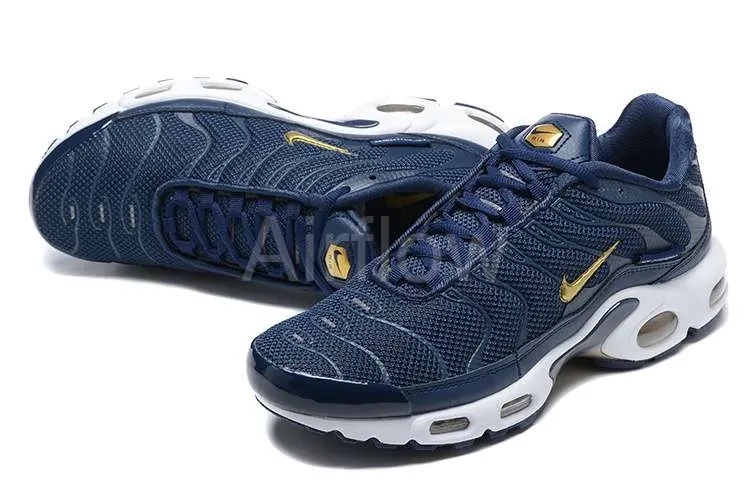 AIR MAX PLUS TN 'FRENCH FOOTBALL FEDERATION' — vista 2