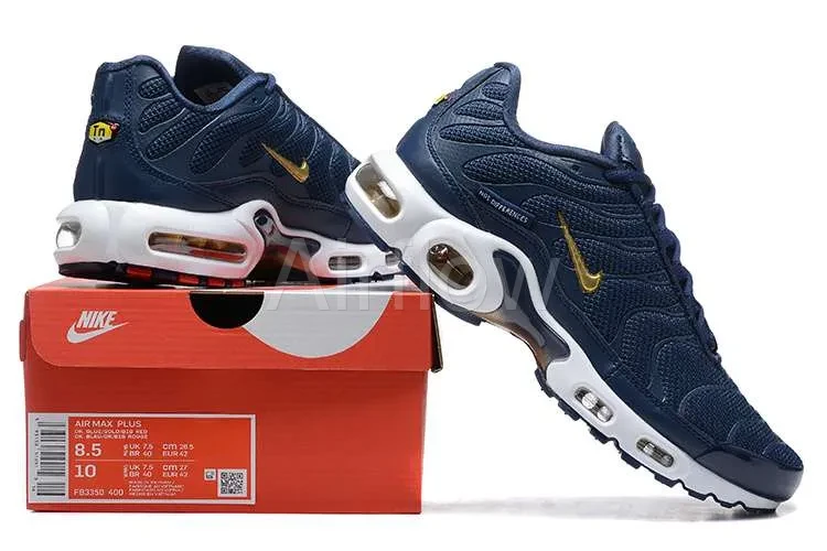 AIR MAX PLUS TN 'FRENCH FOOTBALL FEDERATION' 4