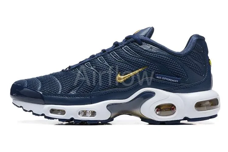 AIR MAX PLUS TN 'FRENCH FOOTBALL FEDERATION'