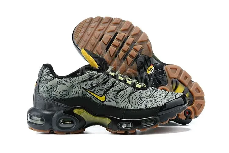 AIR MAX PLUS TN 'FRESH PRESPECTIVE' — vista 2