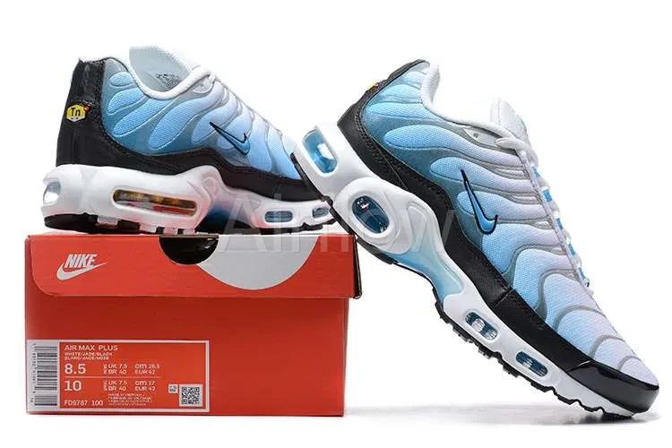 AIR MAX PLUS TN 'ICE' 4