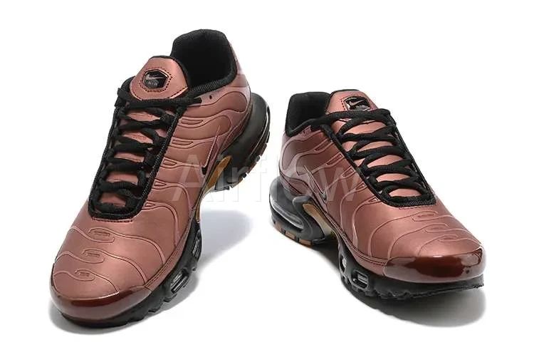 AIR MAX PLUS TN 'METALLIC COOPER' 3