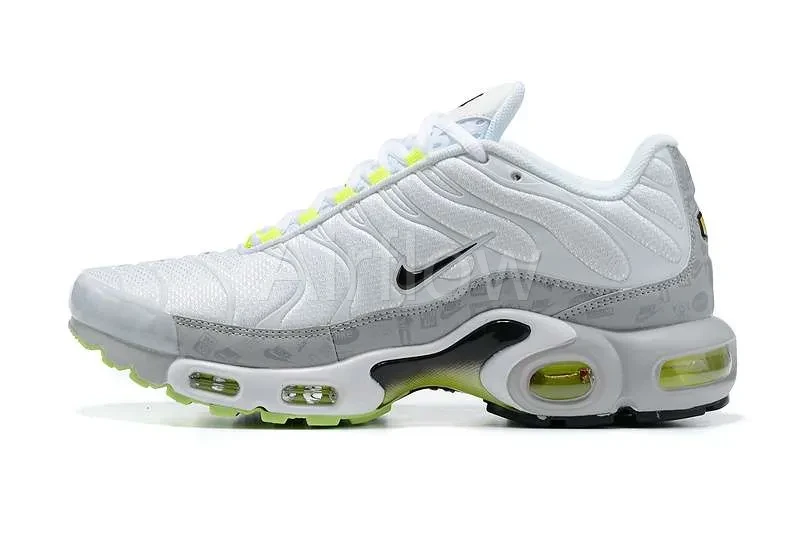 AIR MAX PLUS TN 'PLATINIUM GREY REFLECTIVE LOGOS'