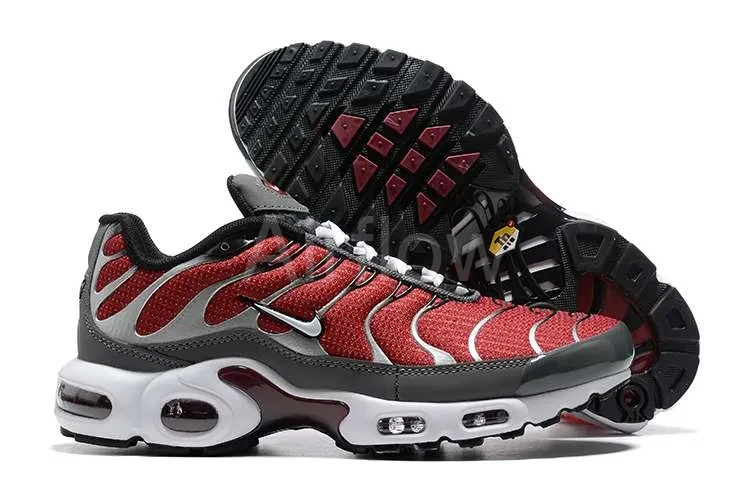 AIR MAX PLUS TN 'RED AND GREY' — vista 2