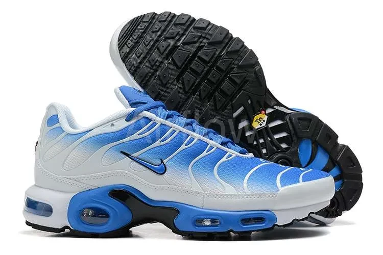 AIR MAX PLUS TN 'SKY FADE' 3