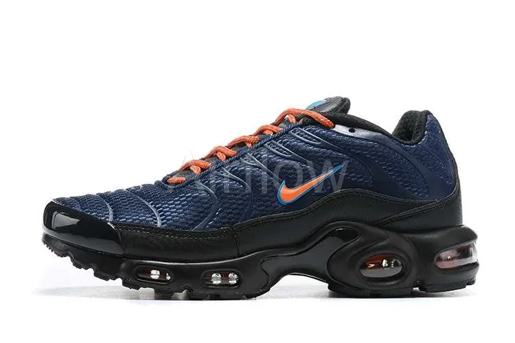 AIR MAX PLUS TN 'TOGGLE LACING GREY'