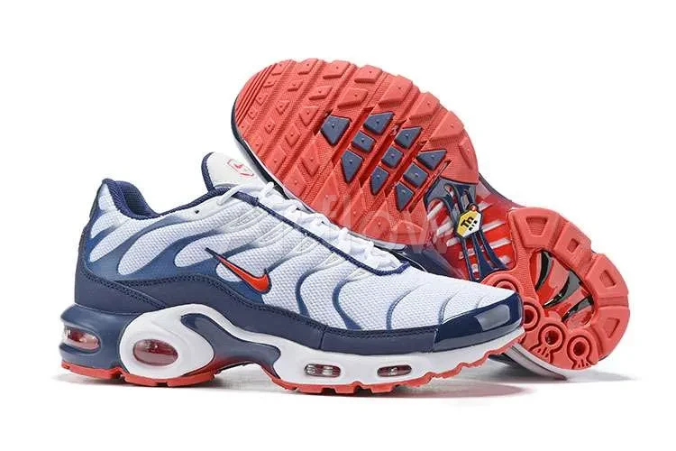 AIR MAX PLUS TN 'USA' — vista 2
