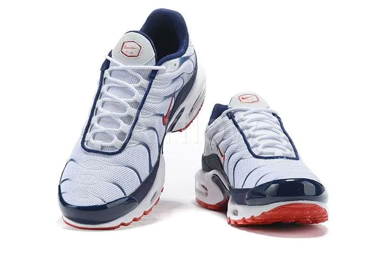 AIR MAX PLUS TN 'USA' 3