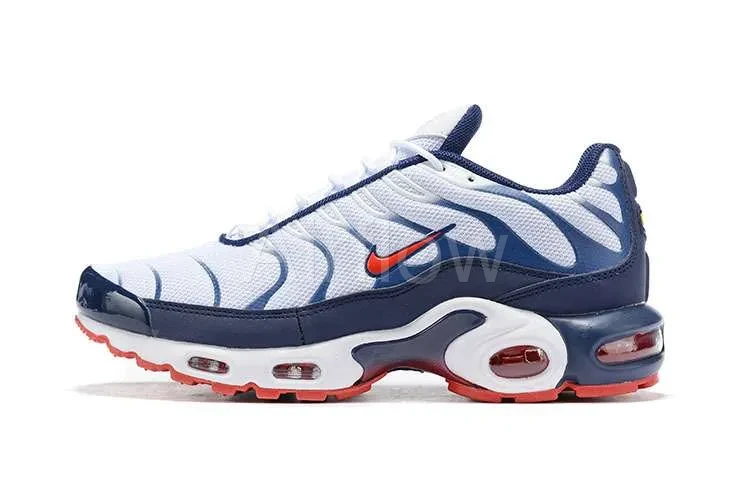 AIR MAX PLUS TN 'USA'