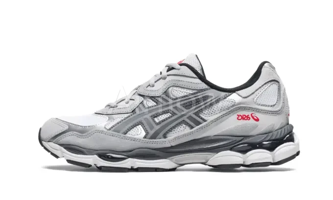 ASlCS Gel-NYC — vista 2