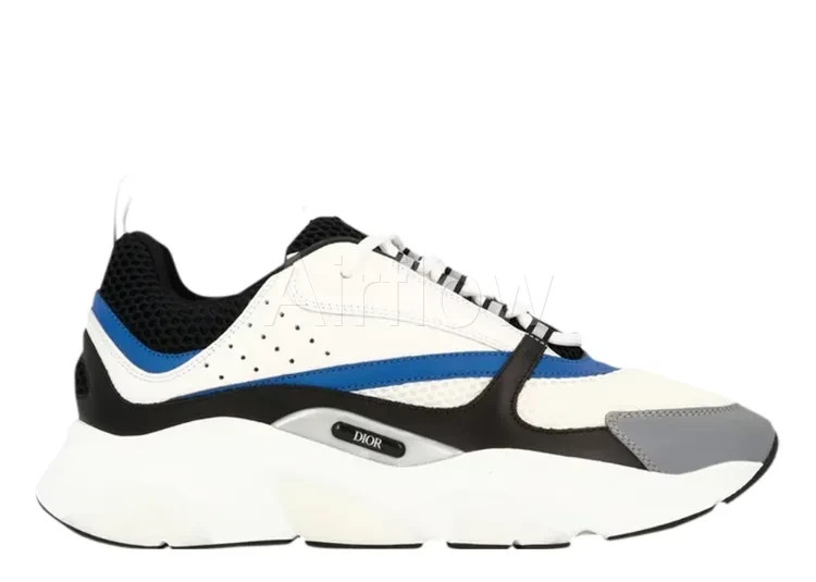 DIOR B22 'ROYAL BLUE WHITE'