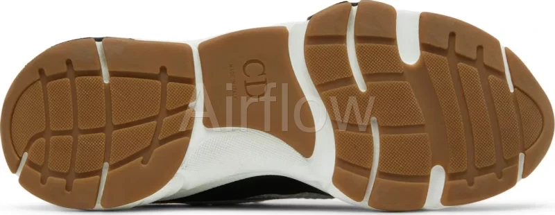DIOR B22 'WHITE BLACK GUM' 3