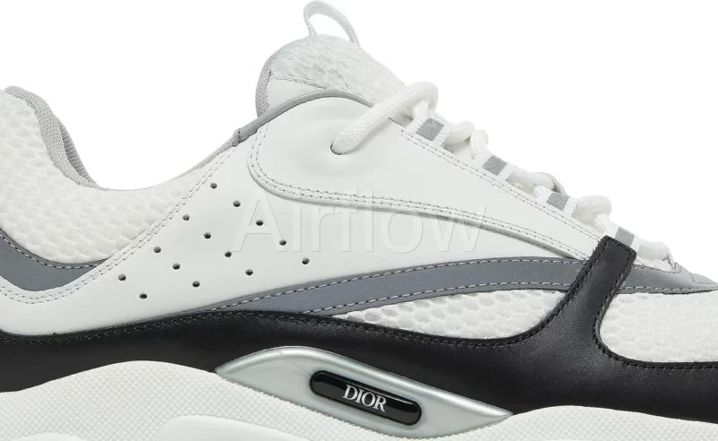 DIOR B22 'WHITE BLACK GUM'