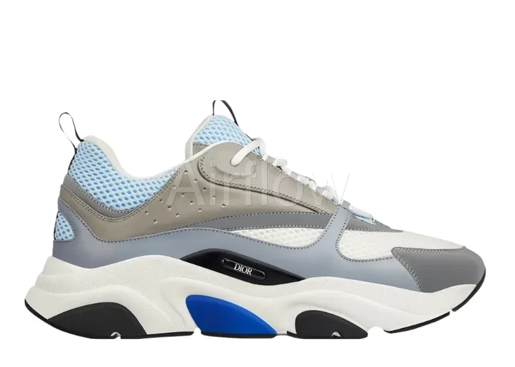 DIOR B22 'WHITE BLUE'