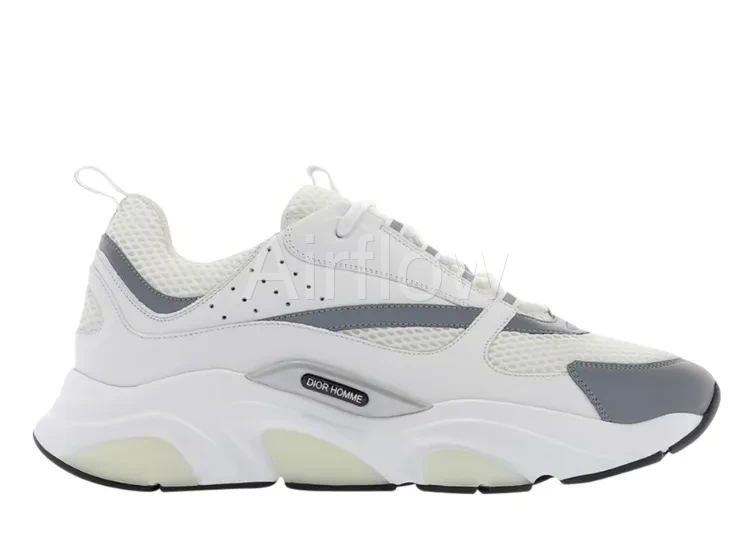 DIOR B22 'WHITE GREY'