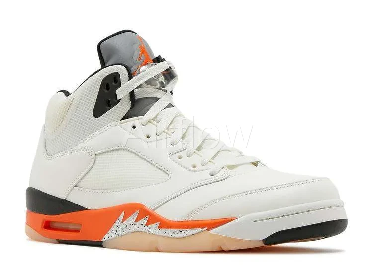 JORDAN RETRO 5 'SHATTERED BACKBOARD' — vista 2