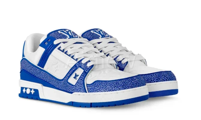 Trainer Blue 3